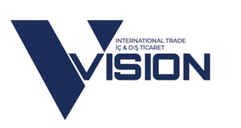 Vision Logo